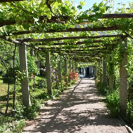 Selva Готель Лугано